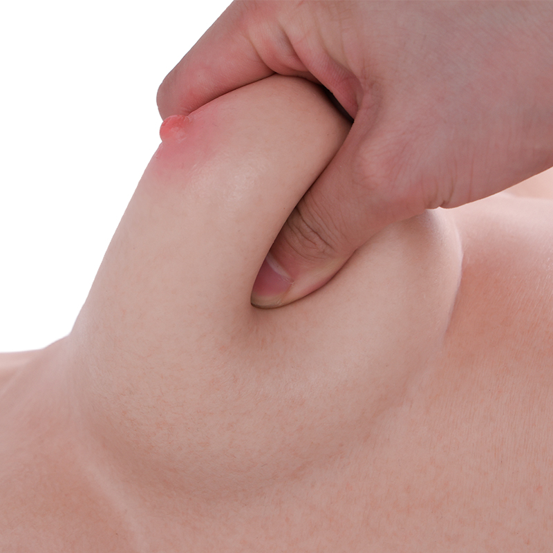 Chest Torso Standard